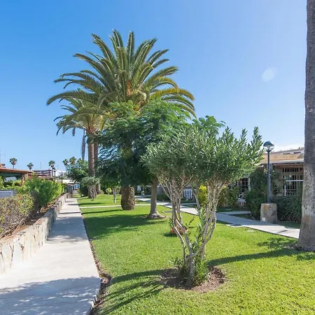 Home2book Terrace&pool Playa Del Ingles Lejlighed *